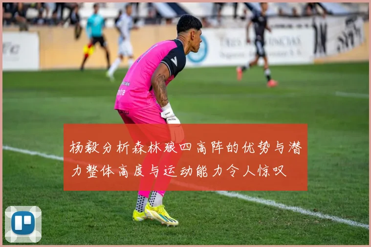 杨毅分析森林狼四高阵的优势与潜力整体高度与运动能力令人惊叹