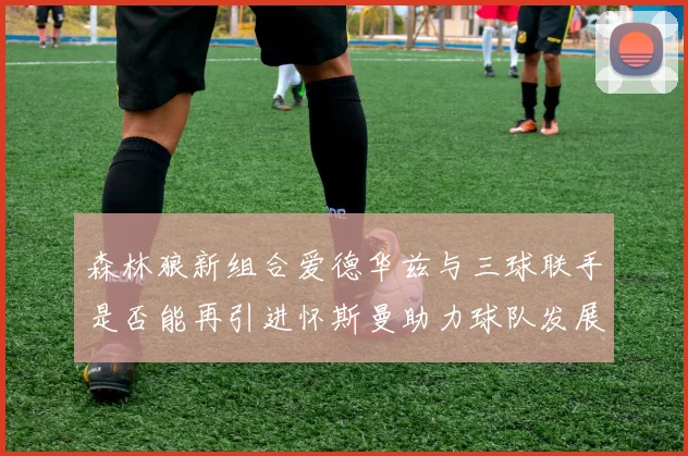 森林狼新组合爱德华兹与三球联手是否能再引进怀斯曼助力球队发展