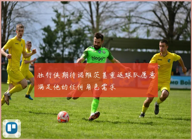 独行侠期待诺维茨基重返球队愿意满足他的任何角色需求