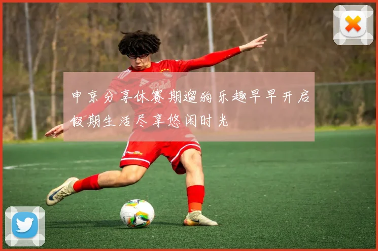 申京分享休赛期遛狗乐趣早早开启假期生活尽享悠闲时光
